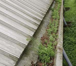 Happy customers in Bovingdon who trust The Roof Moss Cleaners for gutter cleaning services